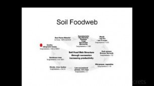 'Hamish Mackay - The Soil Foodweb'