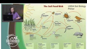'How Soil Biology Works - Elaine Ingram Soil Regen Summit'