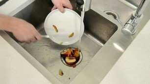'What food can go down a food waste disposer'