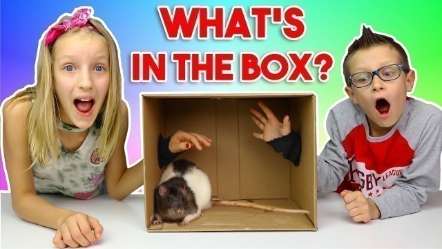 'What\'s in the BOX Challenge!!!!!!'