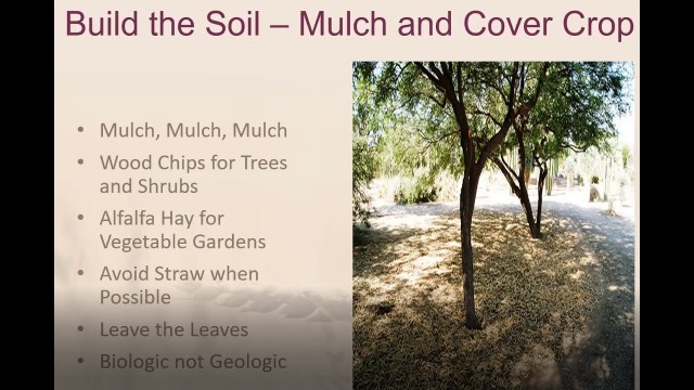 'Building Healthy Soil'