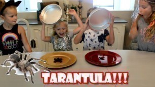'Crazy Gummy Candy vs Real Food Challenge - TARANTULA!!! Do they eat it? | Bloopers'