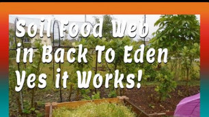 'SOIL FOOD WEB | BACK TO EDEN DOES WORK!'