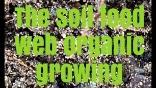 'The soil food web organic growing'