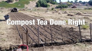 'Soil Food Web Teaming with life in compost tea I\'ve been brewing.'