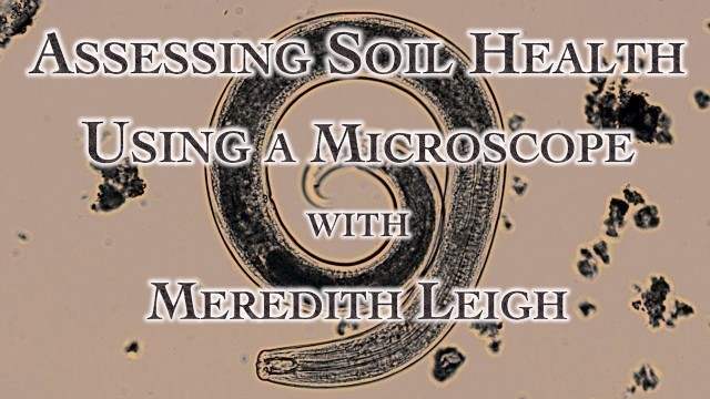 'Assessing Soil Health Using a Microscope with Meredith Leigh'