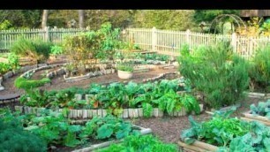 'GrowBetter All-Purpose Organic Fertilizer & Soil Conditioner - Enhancing the Soil Food Web'