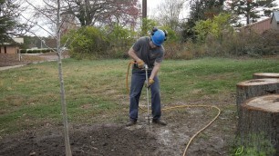 'How to Create Healthy Soil for Your Trees & Shrubs'