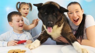 'Gerçek yemek Jelibon yemeğe karşı KÖPEK Dog Gummy vs real food Candy challenge'
