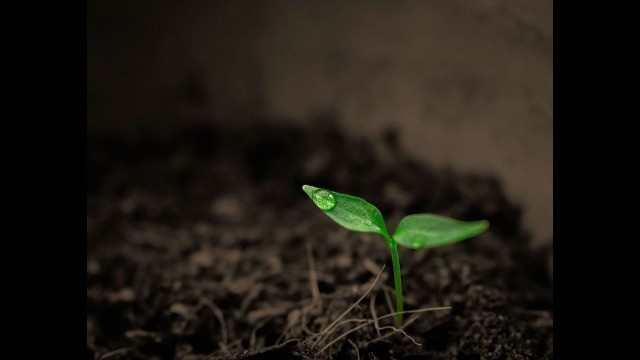 'Building Soil Health Class'