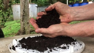 'Living soil made from the AeromatiCo - the soil food web'