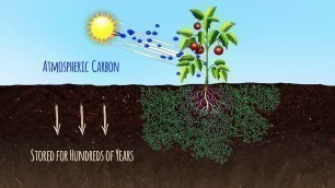 'Soil Carbon Sequestration and the Soil Food Web'