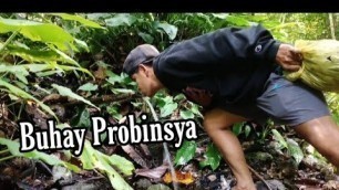 'Buhay Probinsya | Trip Ng Barkada | Food Trip | Batang 90\'s Trip'