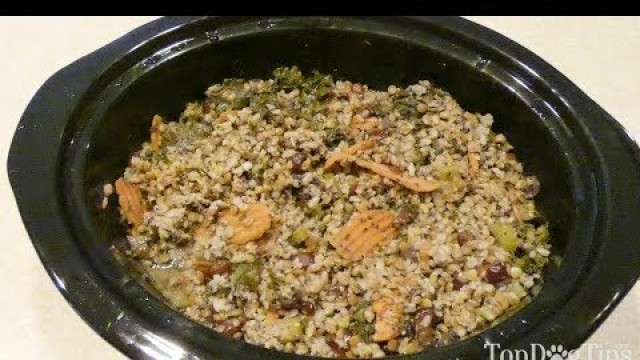 'Homemade Dog Food for Hip and Joint Health'