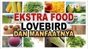 'WAJIB TAHU, INILAH MANFAAT EKSTRA FOOD (EF) UNTUK LOVEBIRD DAN BURUNG LAINNYA'