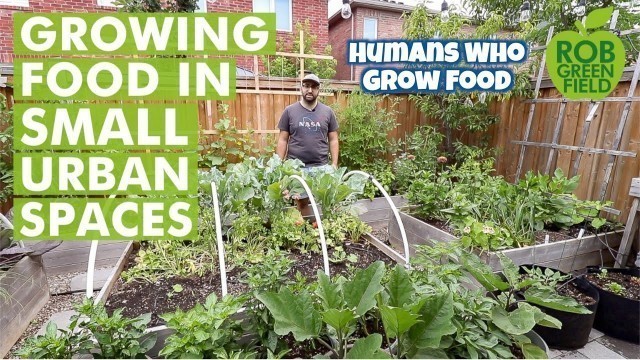 'Growing Food in Urban Small Spaces - Urban Gardening'