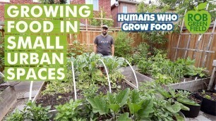 'Growing Food in Urban Small Spaces - Urban Gardening'