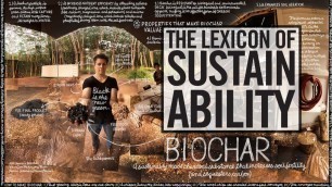 'OFFICIAL What is Biochar? - Soil Reef Biochar & The Lexicon of Sustainability'