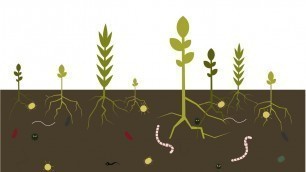 'Best4Soil: Soil health – Practical Information ET'