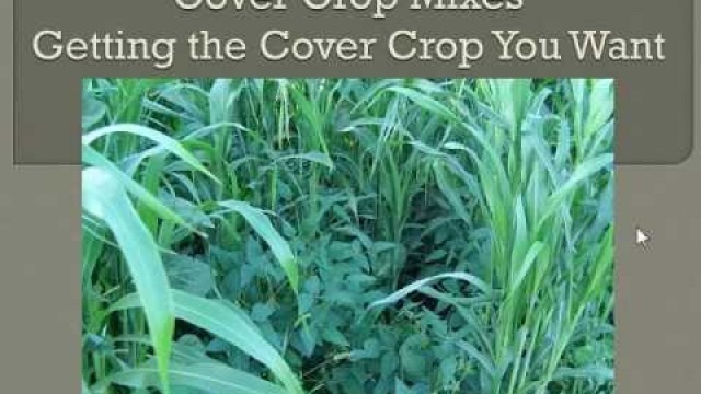 'Cover Crop Mixes: Getting the Cover Crop You Want'