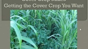 'Cover Crop Mixes: Getting the Cover Crop You Want'