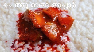 'Chethu Manga Achar | Mango Pickle Kerala Style | ASMR Video'