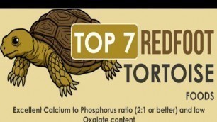 'The 7 Best Foods For a Redfoot Tortoise'