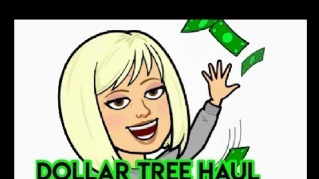 'Dollar Tree Mini Food Haul/ Ted Tortoise'