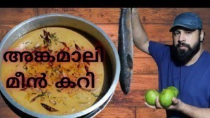 'അങ്കമാലി മീൻ കറി / Angamaly Meen Curry / Angamaly Varaal Curry / Angamaly manga curry'