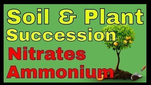 'Soil food web microbial community in soil, soil microorganisms and succession, nitrates and ammonium'