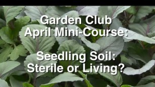 'seedlings with living soil'