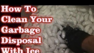 'How To Clean Out A Garbage Disposal With Ice'