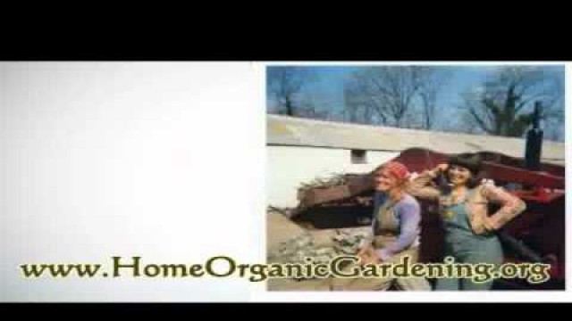 'Organic Gardening - Why the Soil Food Web is So Important'