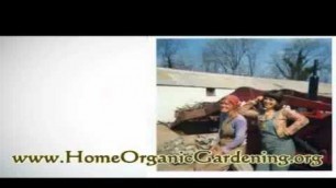 'Organic Gardening - Why the Soil Food Web is So Important'