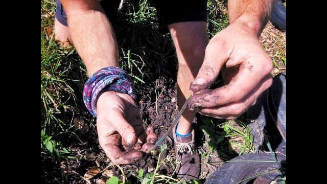'GROWING the soil food web with WORMS'