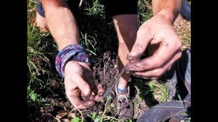 'GROWING the soil food web with WORMS'