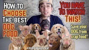 'How To Choose The BEST DOG FOOD In The Philippines | Best Dog Food Tips | FRENCH BULLDOG | VLOG 15'