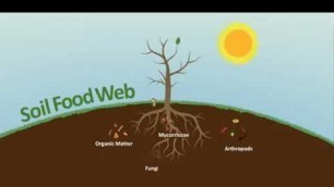 'Soil Food Web - Green House Feeding Bio Line'