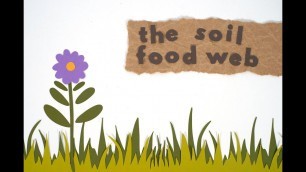 'The Soil Food Web Animation'