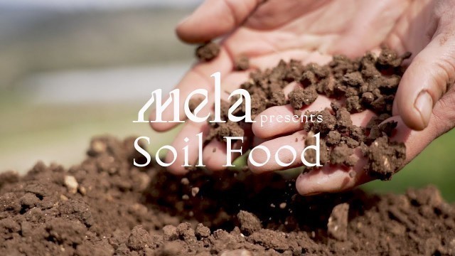 'Mela - SOIL FOOD'