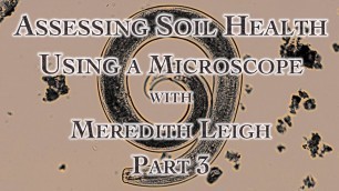 'Assessing Soil Health Using a Microscope with Meredith Leigh Part 3'