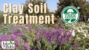 'Clay Soil Treatment | Tree Fresno Demonstration Garden (No Tilling!)'