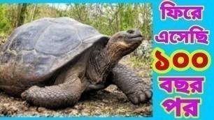 '100 Year Old Tortoise: বিলুপ্তির ১০০ বছর পর ফিরে এসেছে এই প্রজাতির কচ্ছপ'