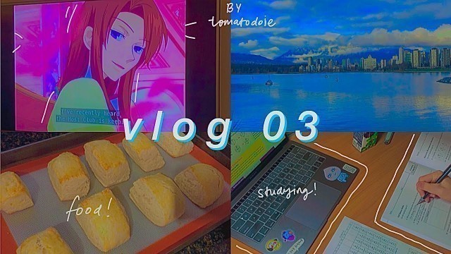 'vlog 03