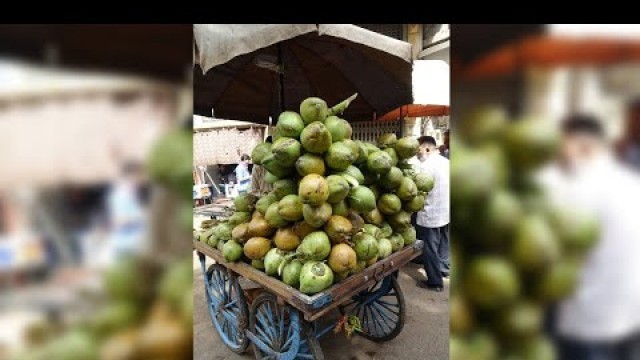 'Fast Coconut Cutting Ahmdabad | Indian Street Food'