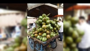 'Fast Coconut Cutting Ahmdabad | Indian Street Food'