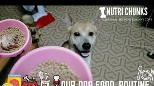 'NUTRI CHUNKS ACTIVE-BOOST REVIEW (Our Dogs Meal Routine)'