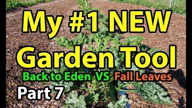 'Back to Eden Organic Gardening 101 Method with Wood Chips VS Leaves Composting Garden Series  # 7'