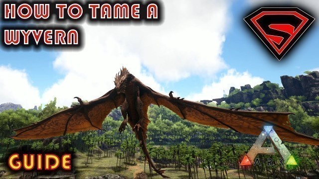 'ARK HOW TO TAME A WYVERN 2019 - HOW TO GET YOUR FIRST WYVERN EGG WITH A PTERANODON'