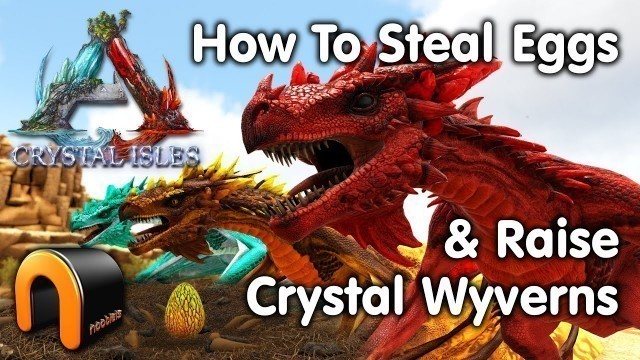 'Ark HOW TO STEAL CRYSTAL WYVERN EGGS & RAISE CRYSTAL WYVERNS'